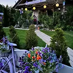 Apartment Rozany