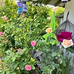 Apartment Rozany Kopalino