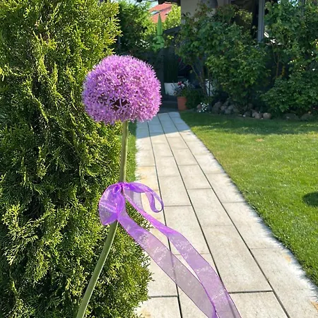 Rozany アパート コパリノ