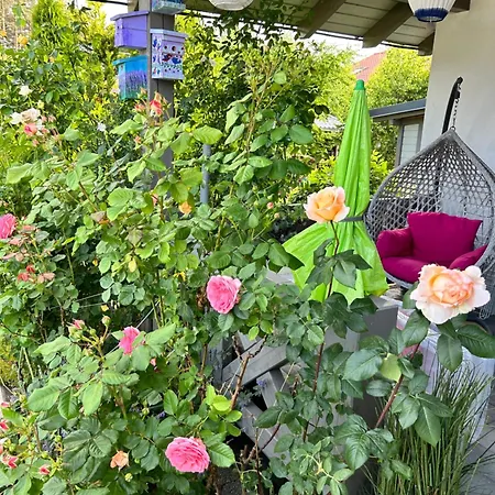 アパート Rozany コパリノ