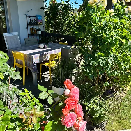 アパート Rozany *