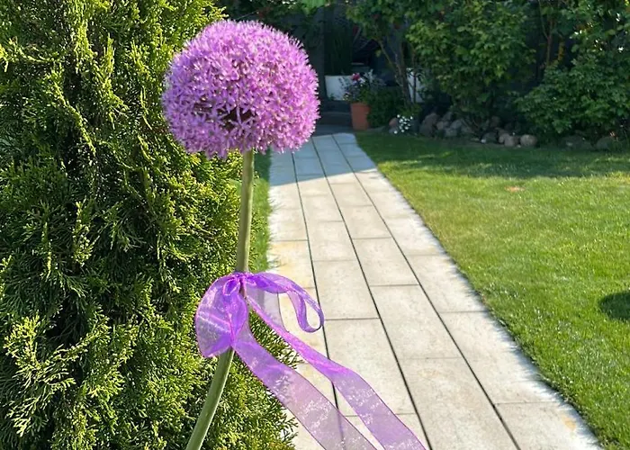 Rozany Apartmán Kopalino